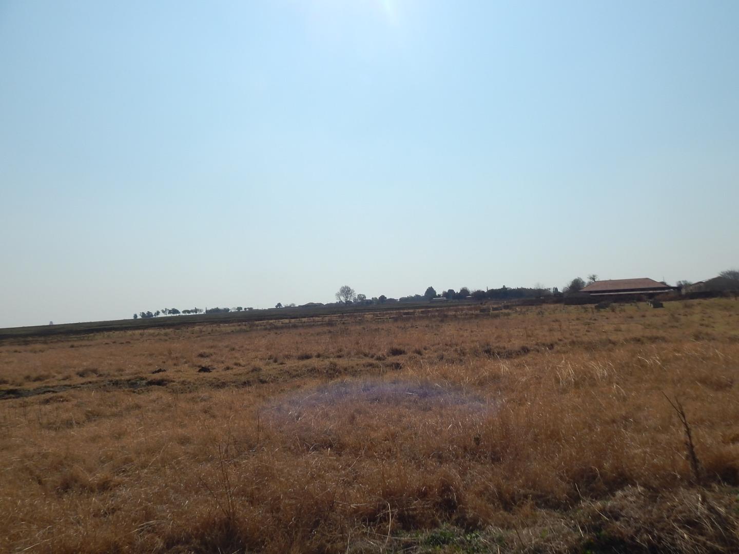 166564_DSCN8153.JPG