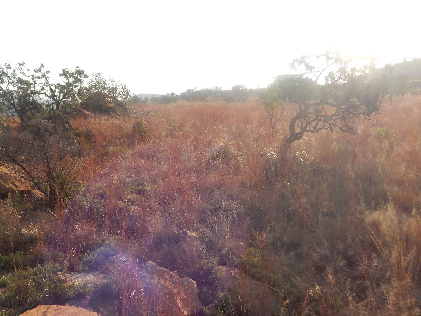 Vacant Land for Sale - Gauteng