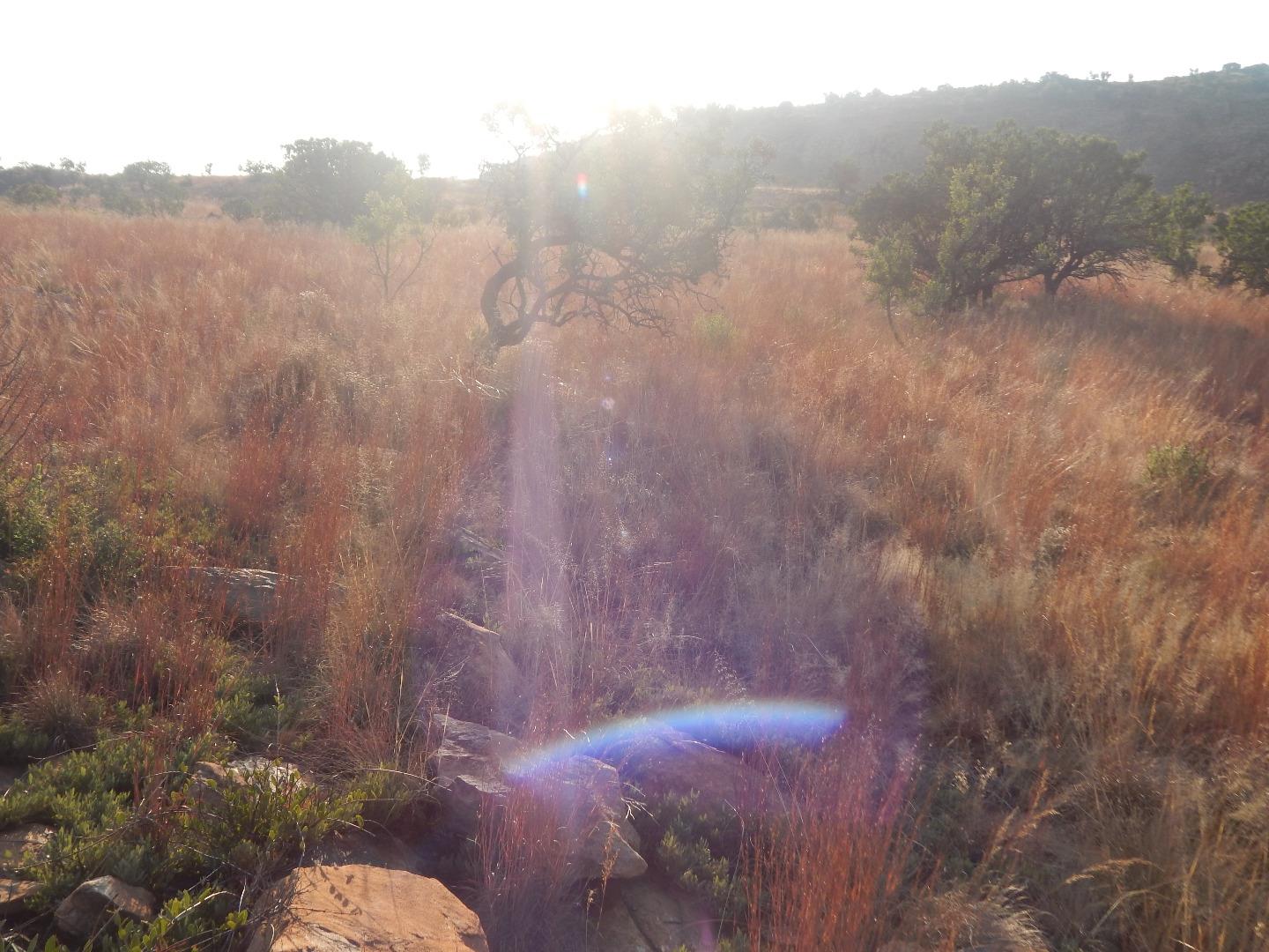 Vacant Land for Sale - Gauteng