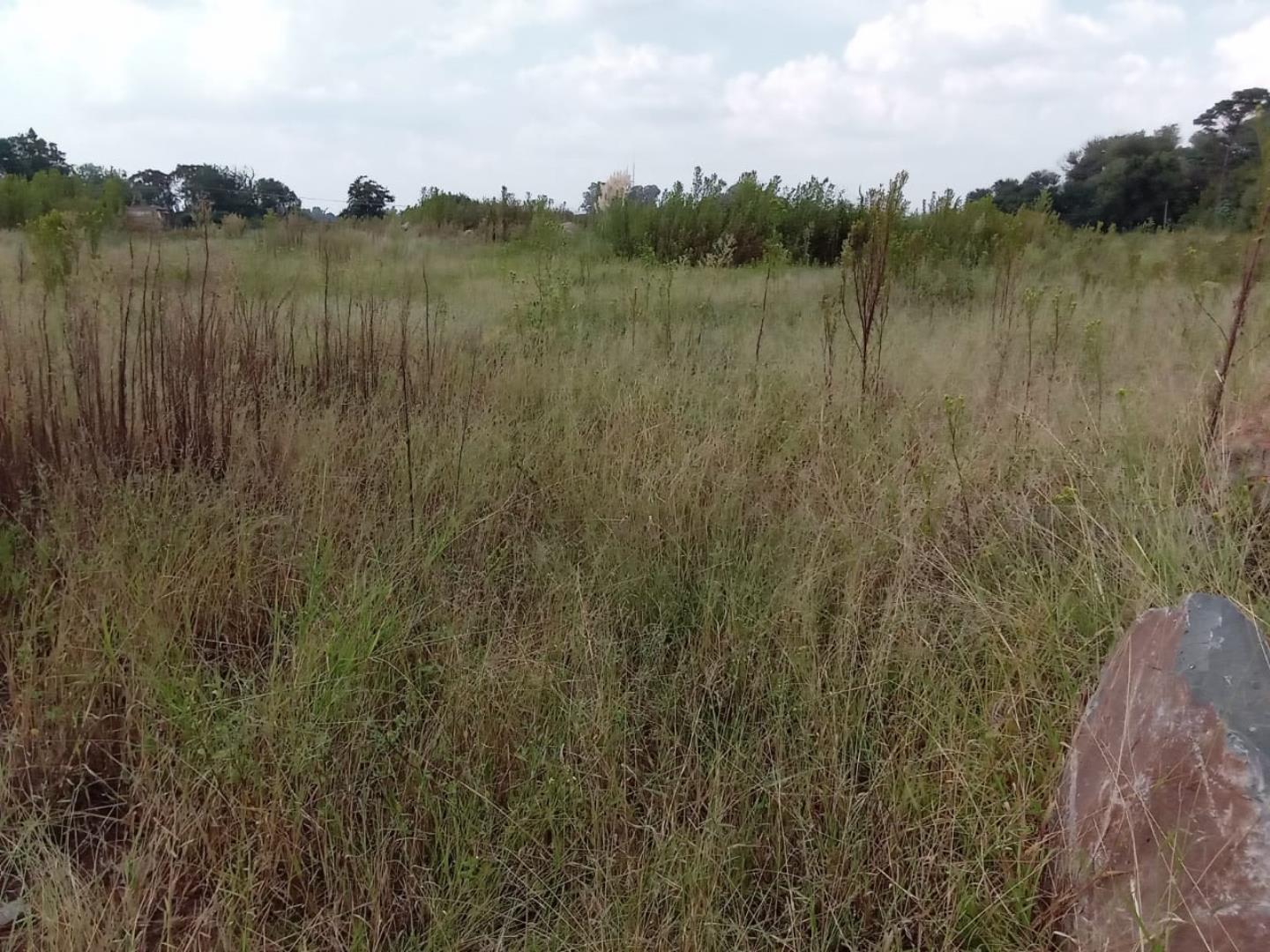 Farm for Sale - Gauteng