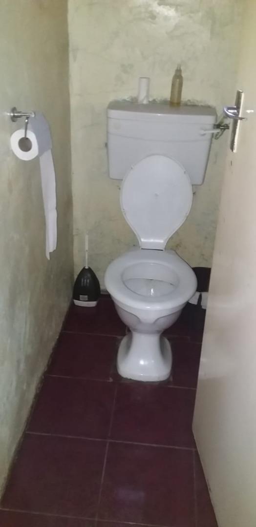 528676_8.jpeg