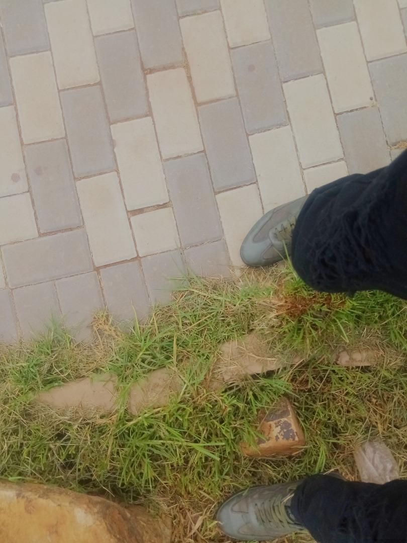 559406_IMG_20220219_112804_HDR.jpg