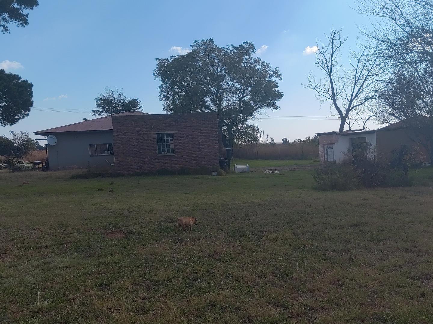 700742_IMG_20230513_125248.jpg