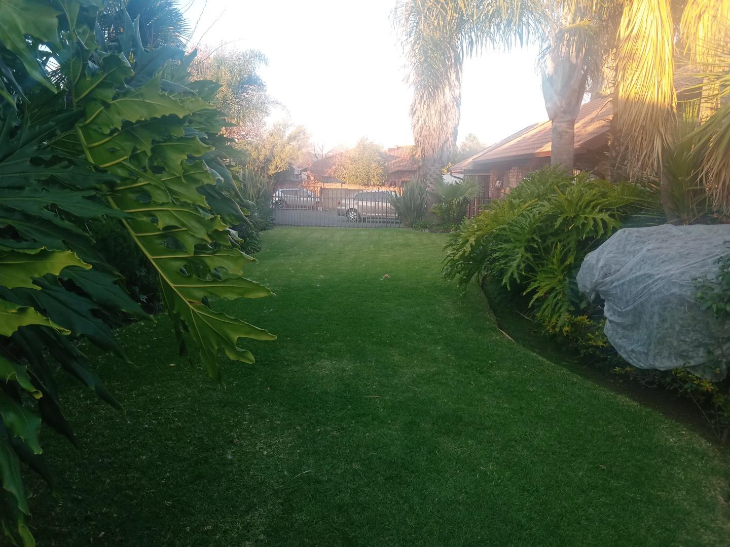 701321_IMG_20230621_164402.jpg