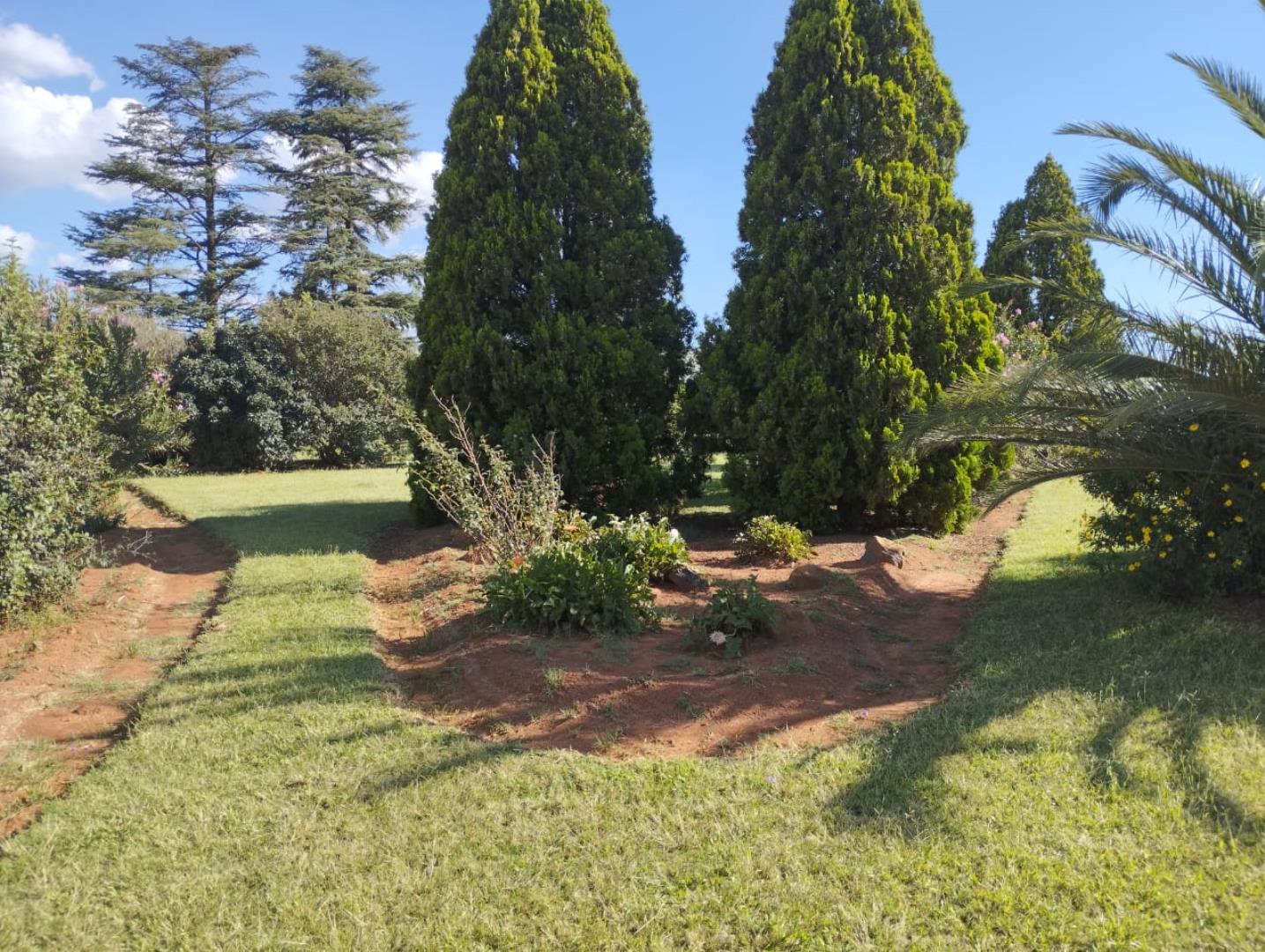 703178_P18.jpg