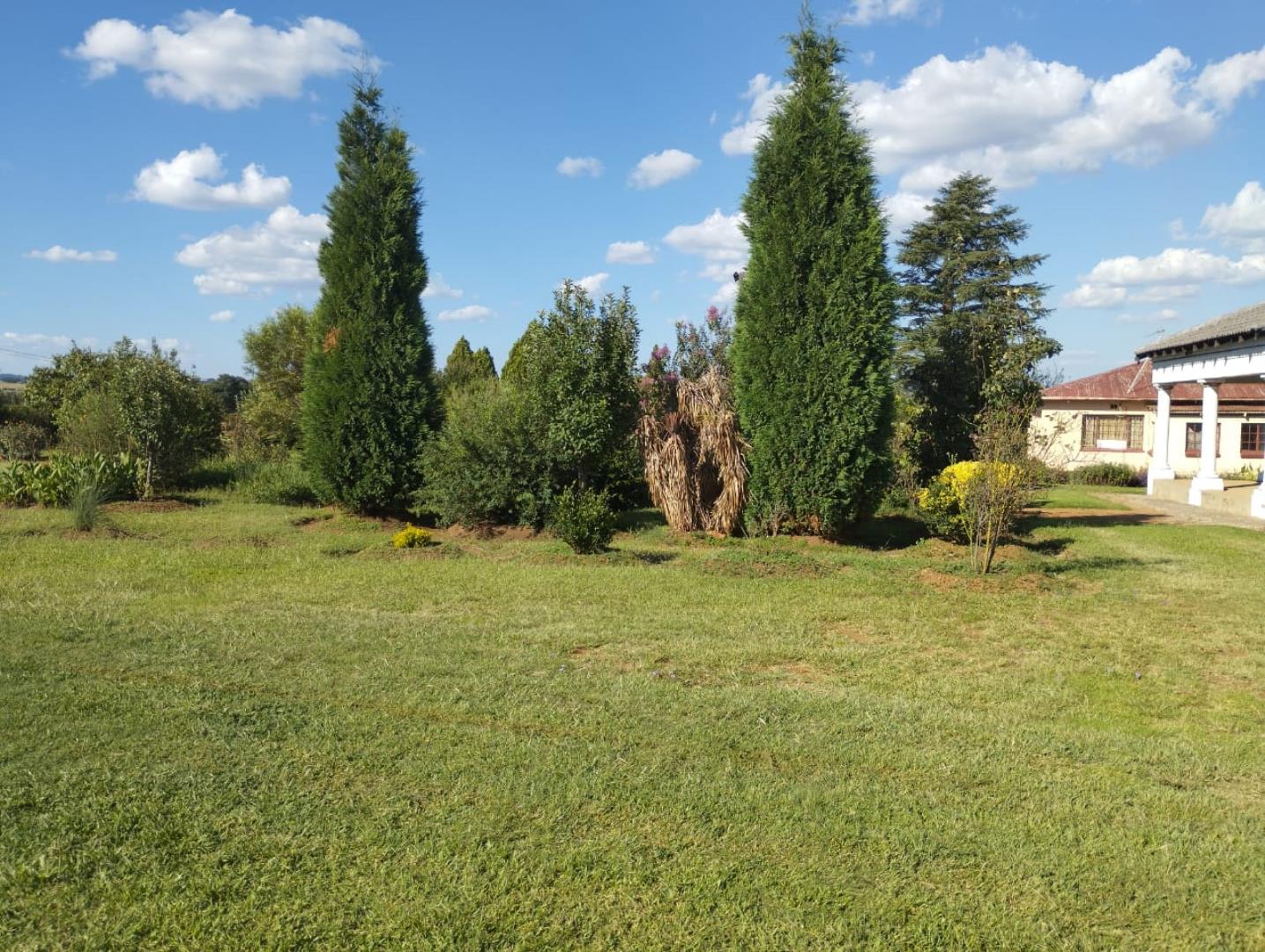 703178_P33.jpg