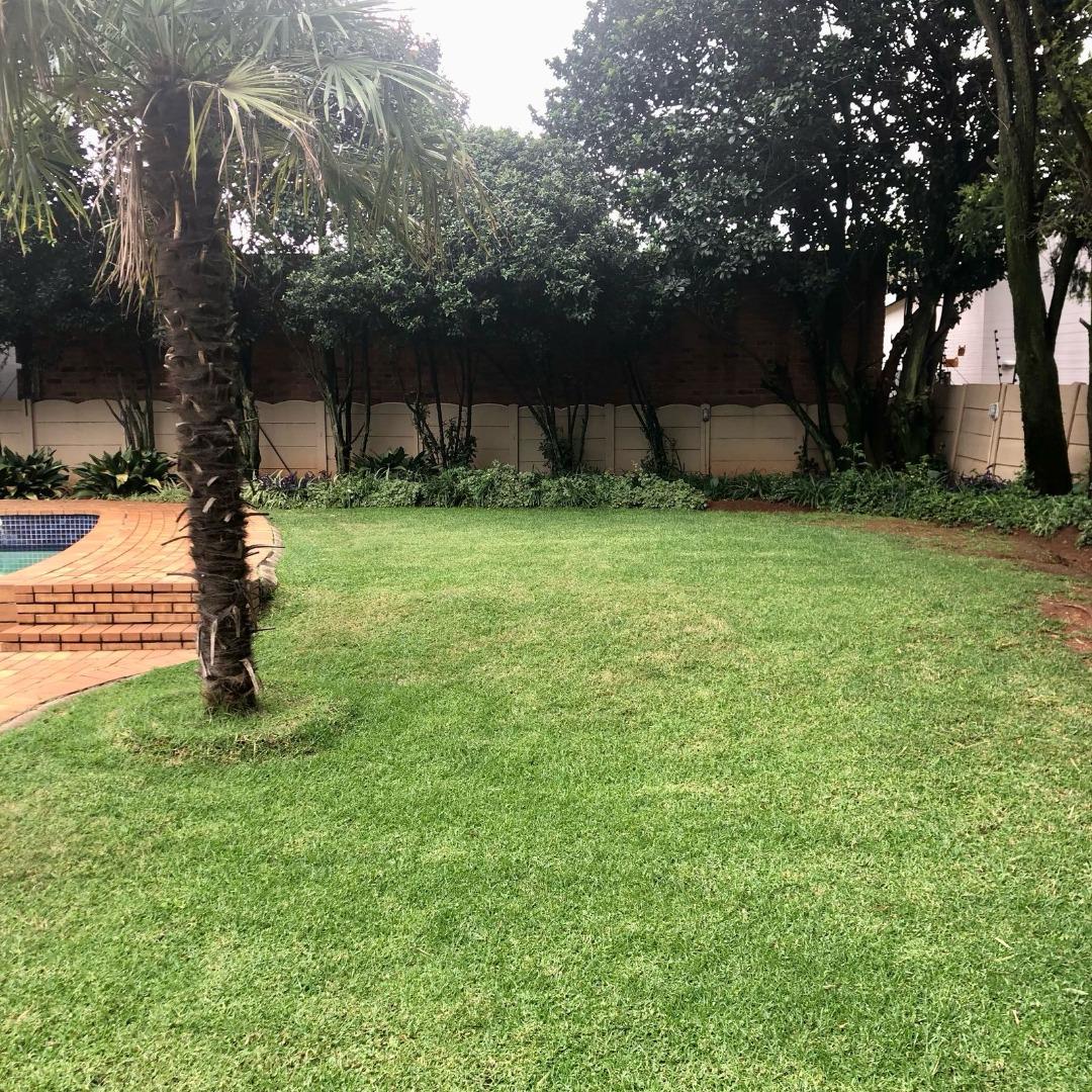 739922_garden.jpg