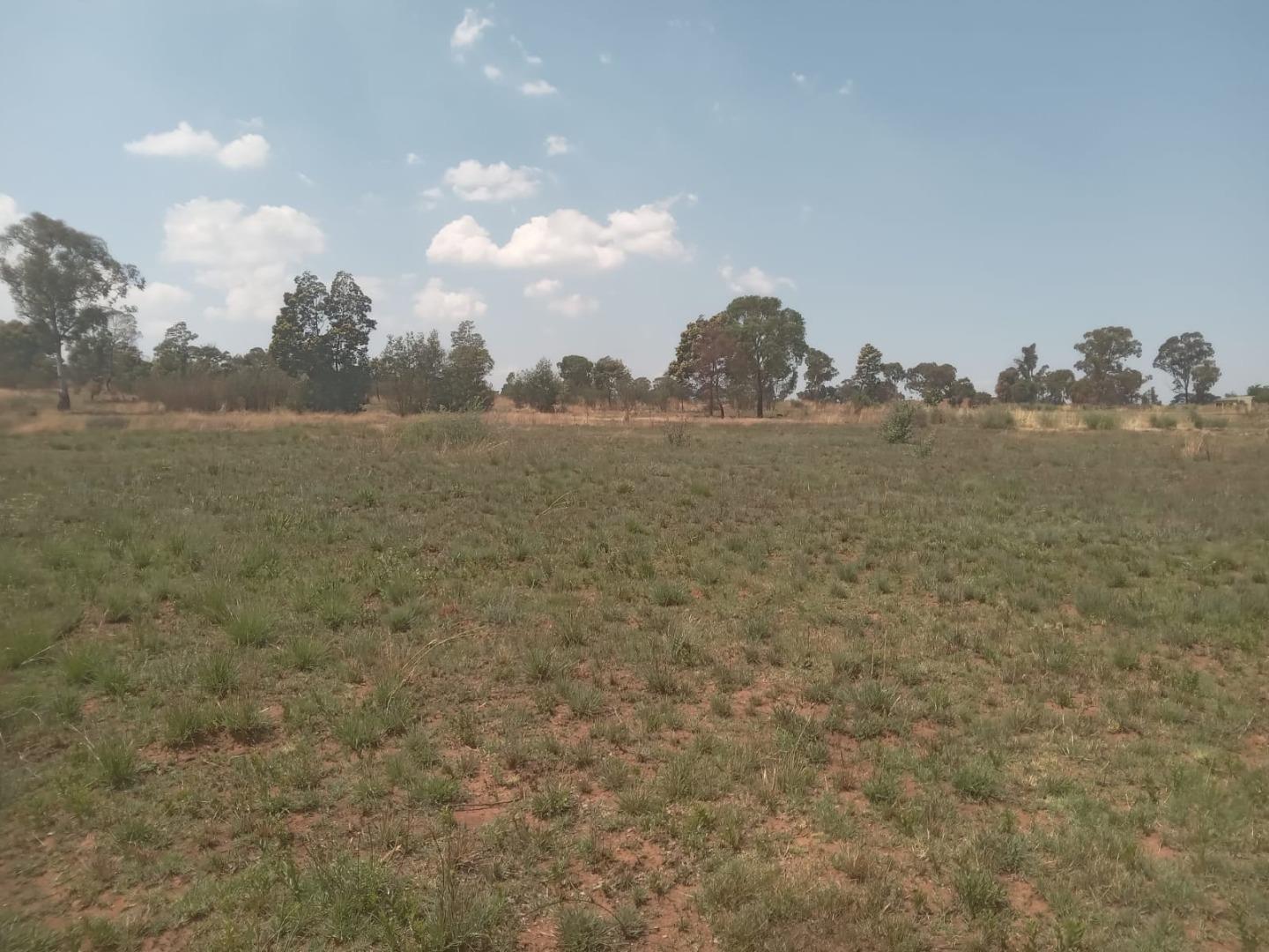 756755_David_Property_1.jpeg