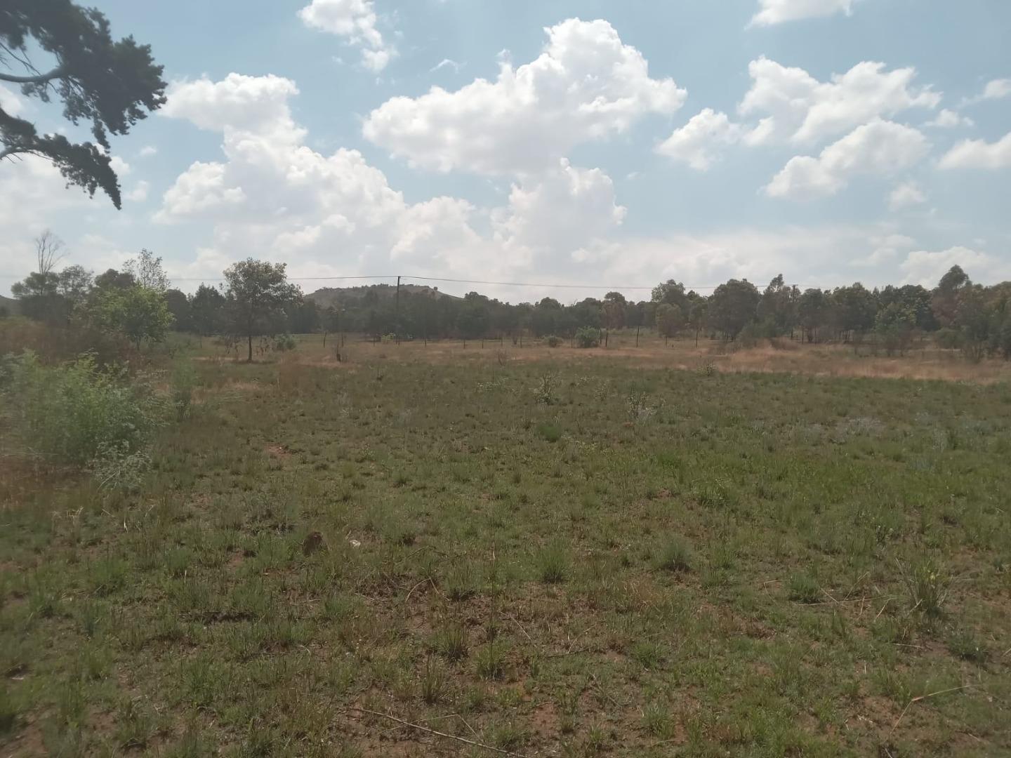 756755_David_Property_2.jpeg