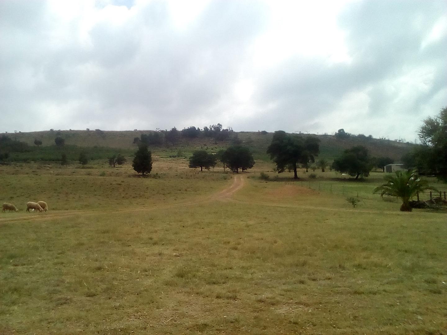 Farm for Sale - Gauteng